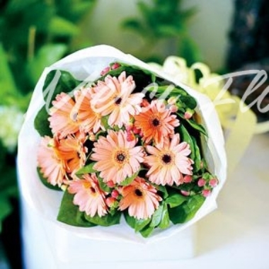 **BQ16** Gerbera Round Bouquet - Pink (Many Colors combination)<br>太陽花 圓形花束 - 粉色